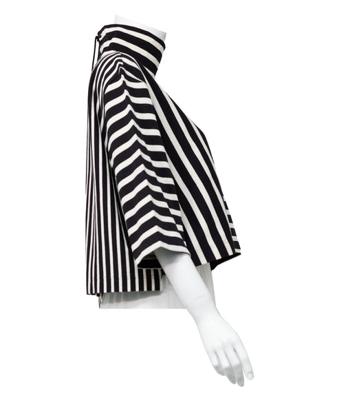 Striped Turtle-neck Top